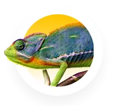خزنده