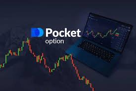 The Ultimate Guide for Every Pocket Option Trader 13 The Ultimate Guide for Every Pocket Option Trader 13