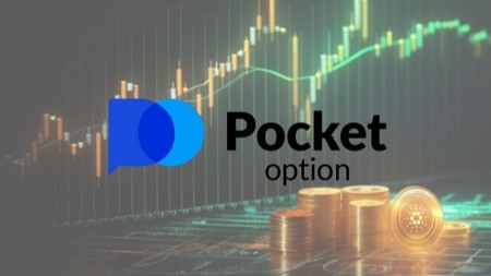 Партнерская Программа Pocket Option Как заработать с нами